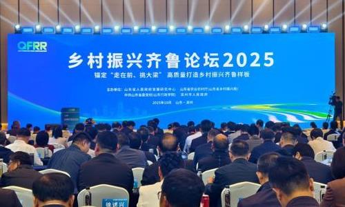 ³̳2025ɽƽĻ