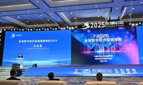 2025̳人Ļ