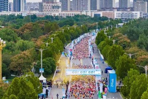 2025ȼ鿪