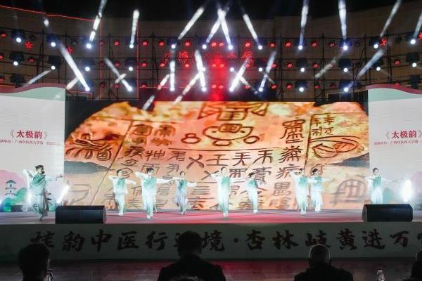 2025年广西中医药国门边境行主题活动