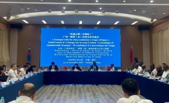 广西—刚果(金)经贸合作交流会举办