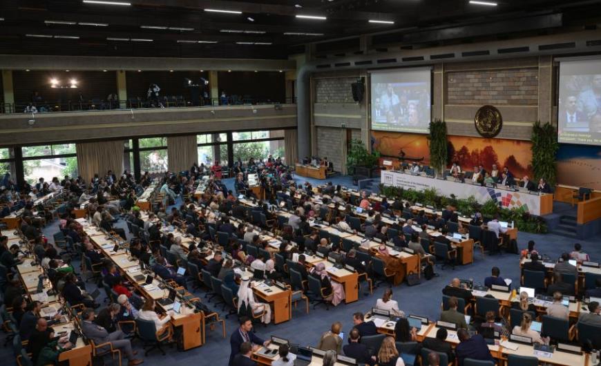 第七届联合国环境大会开幕