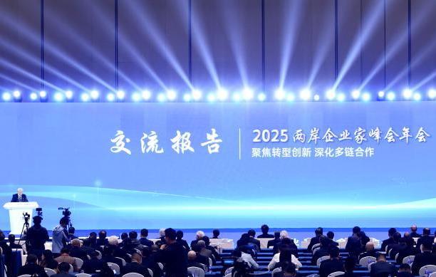 2025������ҵ�ҷ������Ļ