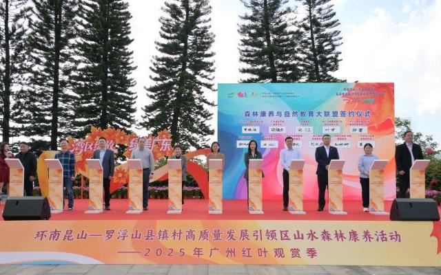 2025����ݺ�Ҷ���ͼ���Ļ