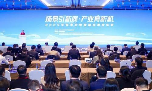 2025�걱���й�����ҵӦ�ó���������