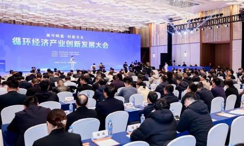 2025ѭ�����ò�ҵ���·�չ������