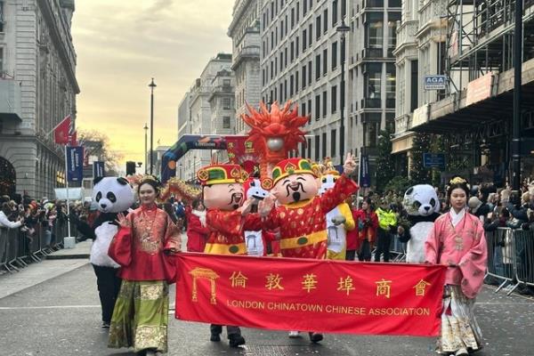 2026Ӣ���׶�Ԫ��Ѳ�ξ���