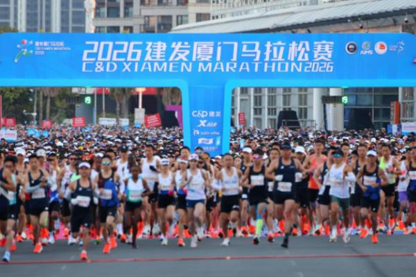 2026���������ɼ��鿪��