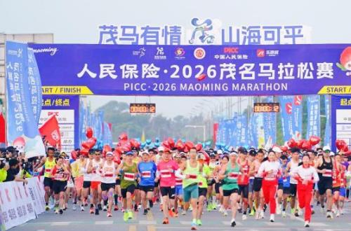 2026ï��������������