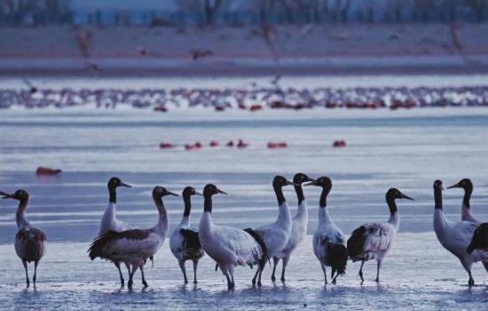 ������չ�ھ���������������̬��ѧ�