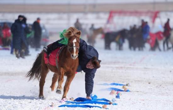 锡林郭勒盟第三届冬季蒙古马超级联赛