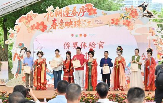 2026���ݻ�������Ļ