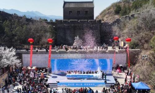 金山岭长城第十四届杏花节启幕