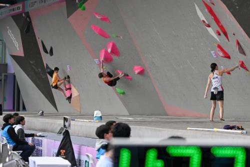 2026���������ҽ���������