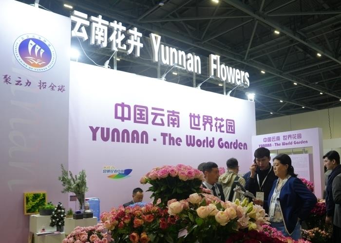 ��ʮ������ʻ�����԰��չ�ڰ�˹���ɿ�Ļ