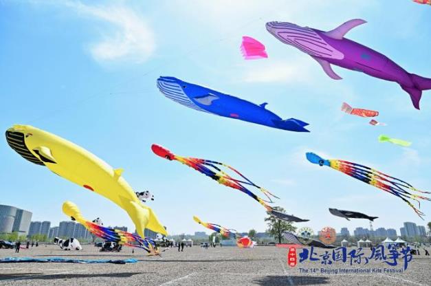 ��ʮ�Ľ챱�����ʷ��ݽ���Ļ