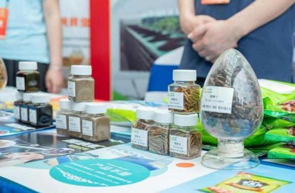 2026����ʳ������������ֻ����