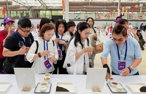 �����ա��Ͼ�̨���ܡ����������Ļ������