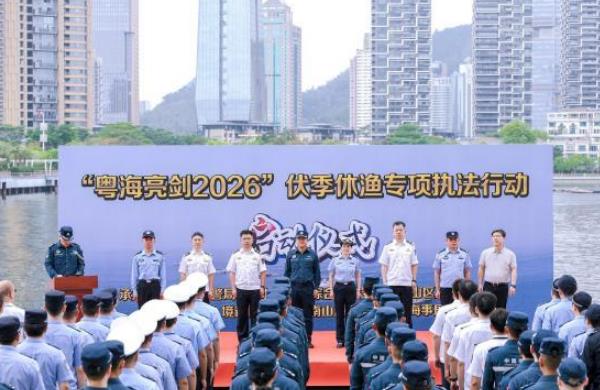 ����������2026����������ר��ִ���ж�����