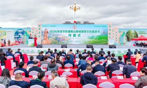 2026������ߺ���������̲���Ļ�����